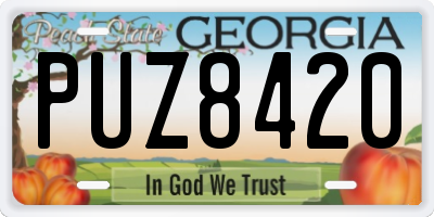 GA license plate PUZ8420