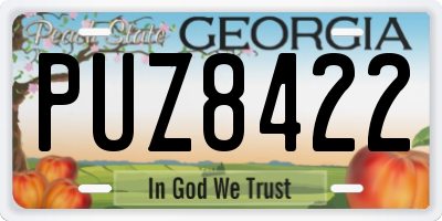 GA license plate PUZ8422