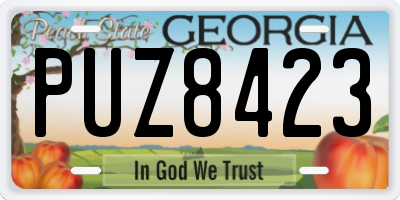 GA license plate PUZ8423