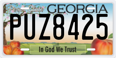 GA license plate PUZ8425