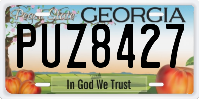 GA license plate PUZ8427