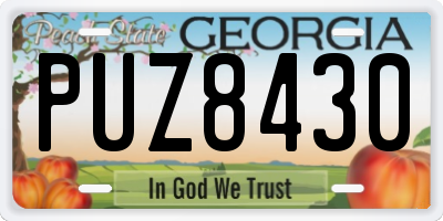 GA license plate PUZ8430