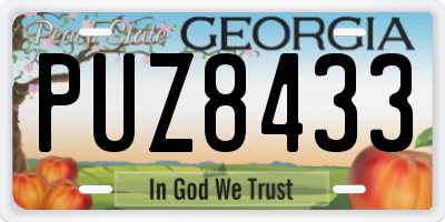 GA license plate PUZ8433