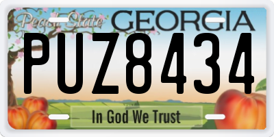 GA license plate PUZ8434