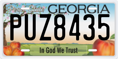 GA license plate PUZ8435