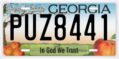 GA license plate PUZ8441