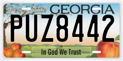 GA license plate PUZ8442