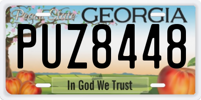 GA license plate PUZ8448