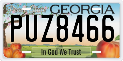GA license plate PUZ8466