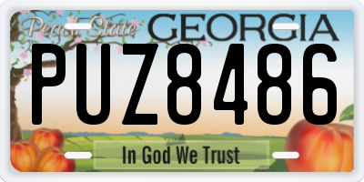 GA license plate PUZ8486