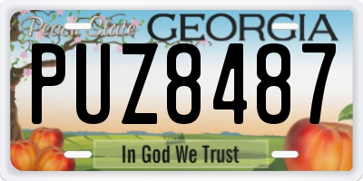 GA license plate PUZ8487