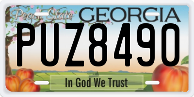 GA license plate PUZ8490