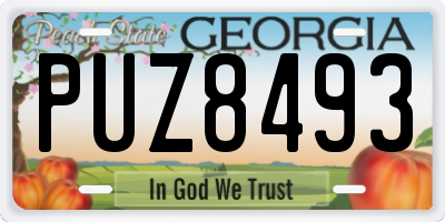 GA license plate PUZ8493