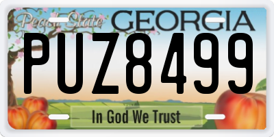 GA license plate PUZ8499
