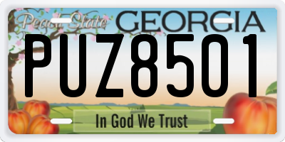 GA license plate PUZ8501