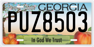 GA license plate PUZ8503