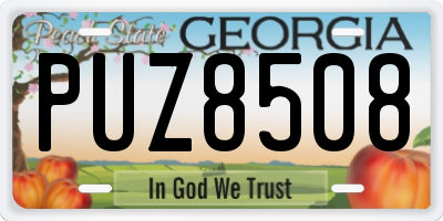 GA license plate PUZ8508