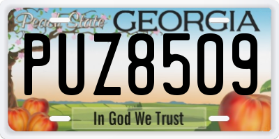 GA license plate PUZ8509