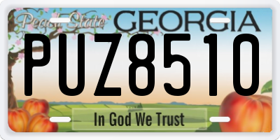 GA license plate PUZ8510