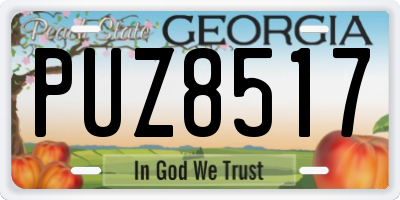 GA license plate PUZ8517
