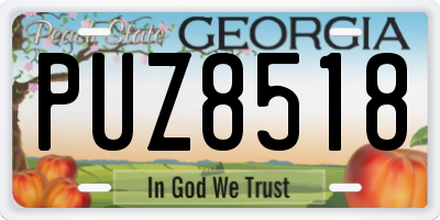 GA license plate PUZ8518