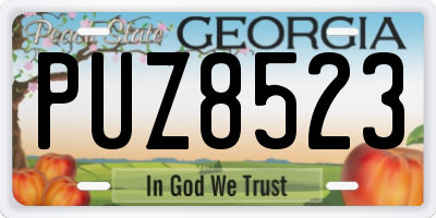 GA license plate PUZ8523