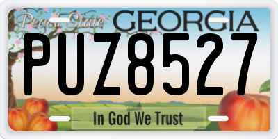 GA license plate PUZ8527
