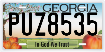 GA license plate PUZ8535