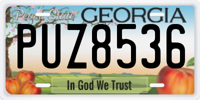 GA license plate PUZ8536