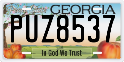 GA license plate PUZ8537