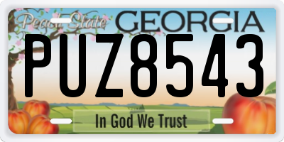 GA license plate PUZ8543