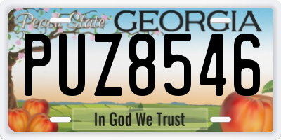GA license plate PUZ8546