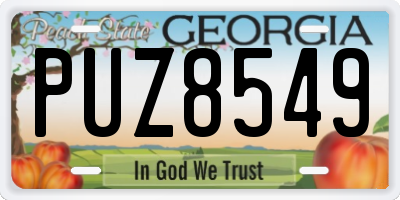 GA license plate PUZ8549
