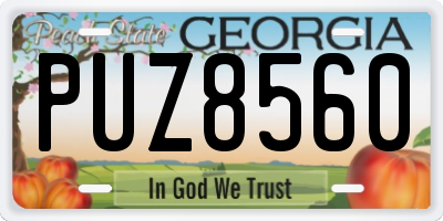 GA license plate PUZ8560