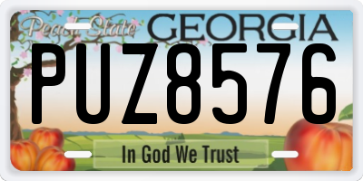 GA license plate PUZ8576