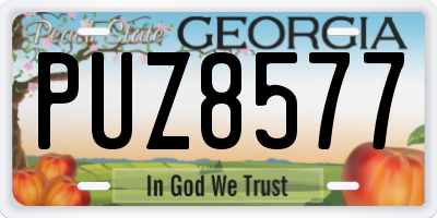 GA license plate PUZ8577