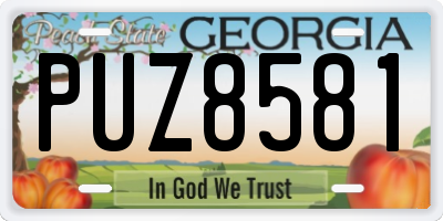 GA license plate PUZ8581