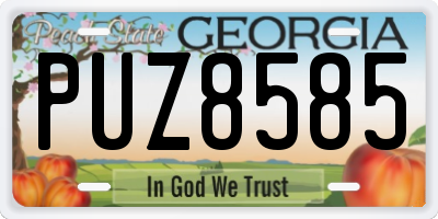 GA license plate PUZ8585