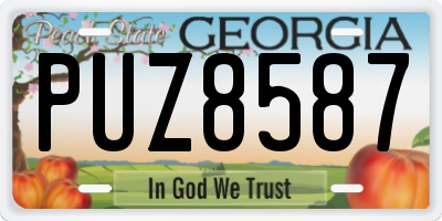 GA license plate PUZ8587
