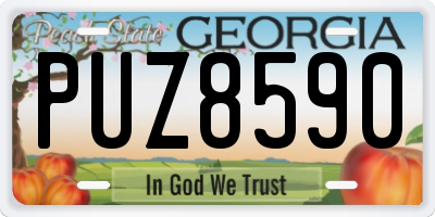GA license plate PUZ8590