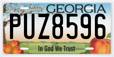 GA license plate PUZ8596