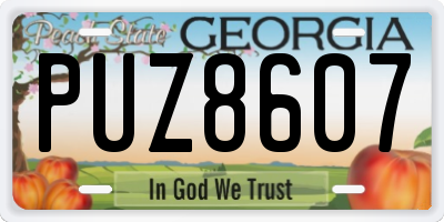 GA license plate PUZ8607