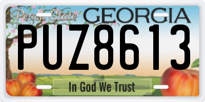 GA license plate PUZ8613