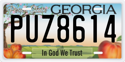 GA license plate PUZ8614