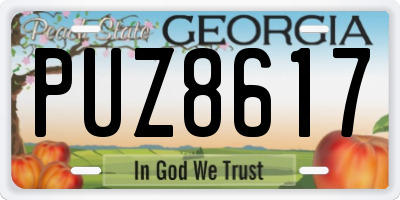 GA license plate PUZ8617