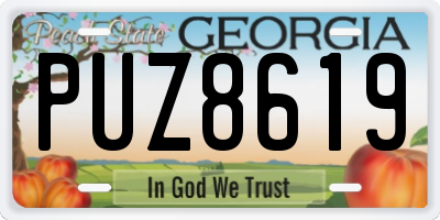 GA license plate PUZ8619