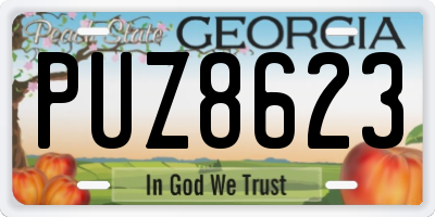 GA license plate PUZ8623