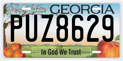 GA license plate PUZ8629