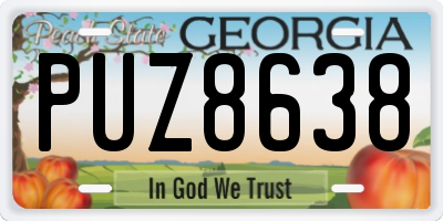 GA license plate PUZ8638