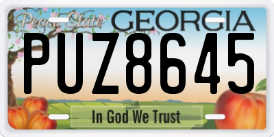 GA license plate PUZ8645